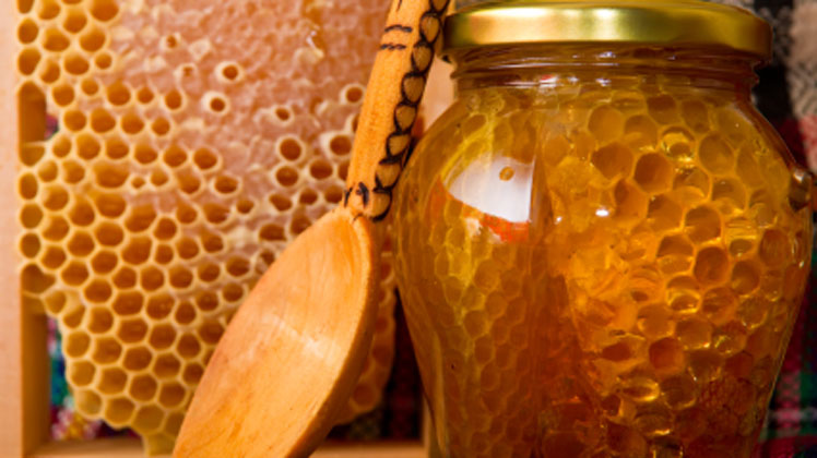 Proizvodi pčelarstva