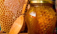 Proizvodi pčelarstva